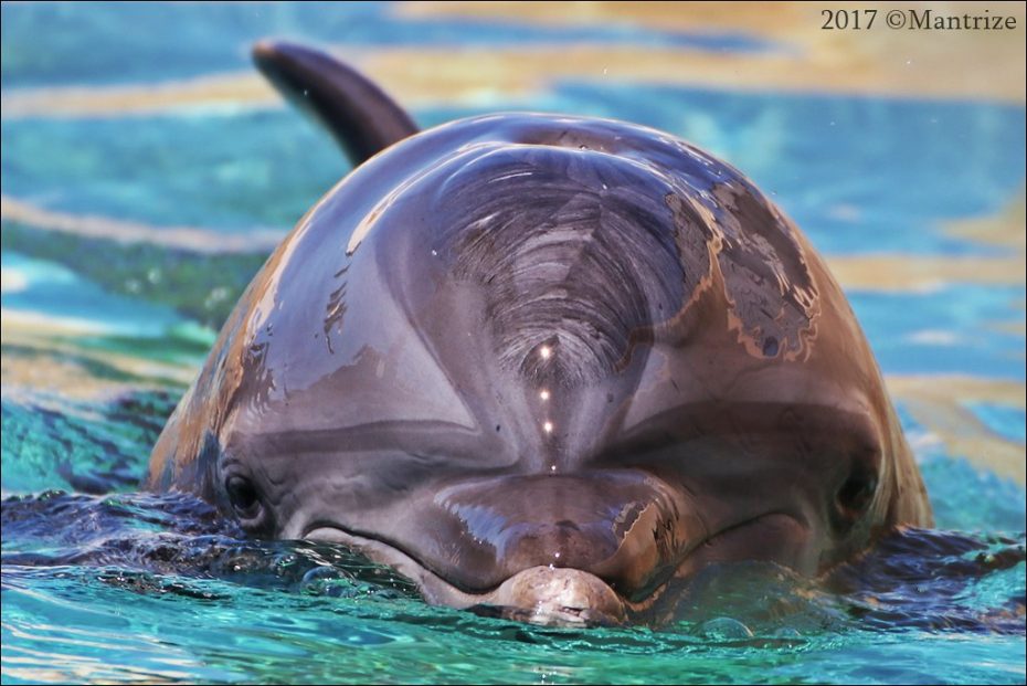 Clearwater Aquarium